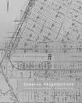 Cabanne Neighborhood: Activating Neighborhood HIstories to Promote Resiliency