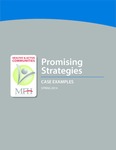Promising Strategies: Case Examples