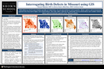 Interrogating Birth Defects in Missouri using GIS