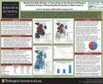 Stroke And State Borders: A Case Study of the Social and Physical Contextual Factors Influencing Stroke Burden in Metro East, IL by Krista P. Woodward